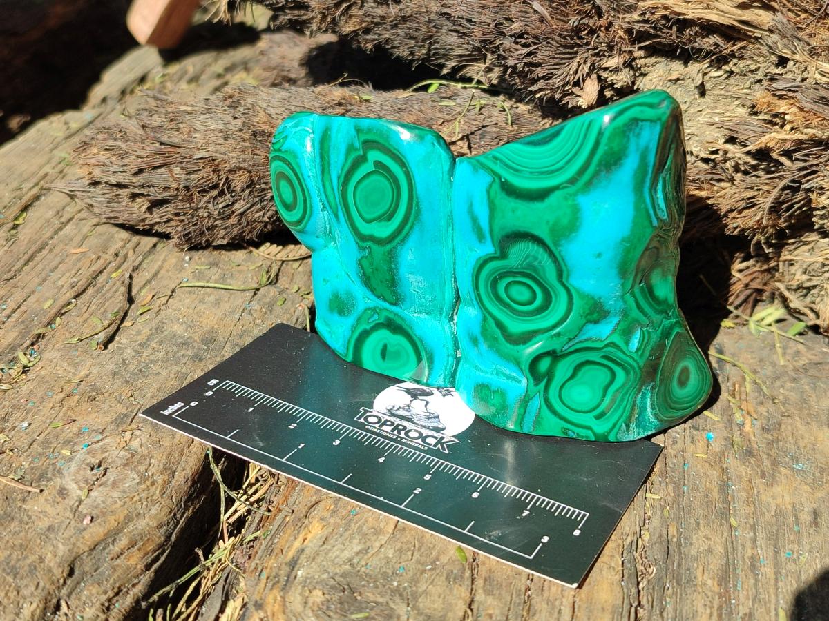 Polished and Natural Malacolla Free Forms x 3 From Kulukuluku, Congo