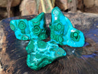Polished and Natural Malacolla Free Forms x 3 From Kulukuluku, Congo