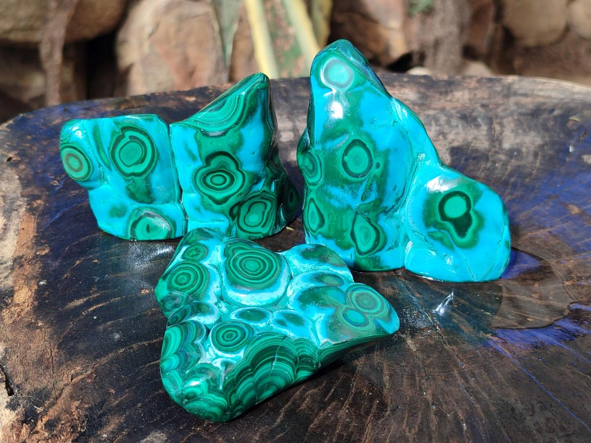 Polished and Natural Malacolla Free Forms x 3 From Kulukuluku, Congo