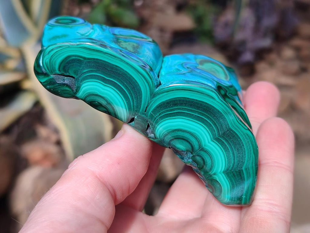 Polished and Natural Malacolla Free Forms x 3 From Kulukuluku, Congo