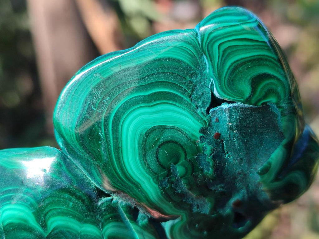 Polished and Natural Malacolla Free Forms x 3 From Kulukuluku, Congo