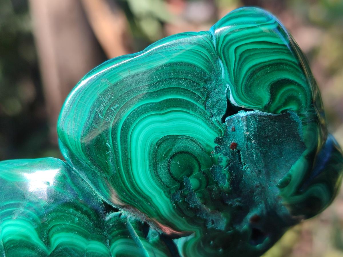 Polished and Natural Malacolla Free Forms x 3 From Kulukuluku, Congo