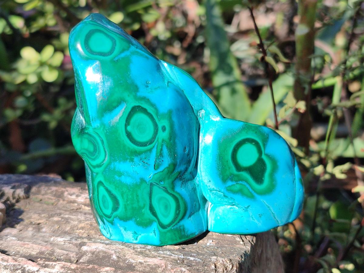 Polished and Natural Malacolla Free Forms x 3 From Kulukuluku, Congo