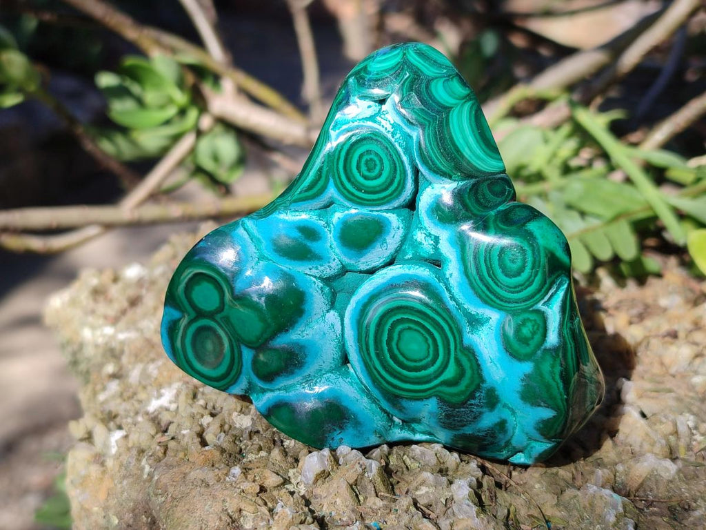 Polished and Natural Malacolla Free Forms x 3 From Kulukuluku, Congo