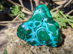 Polished and Natural Malacolla Free Forms x 3 From Kulukuluku, Congo