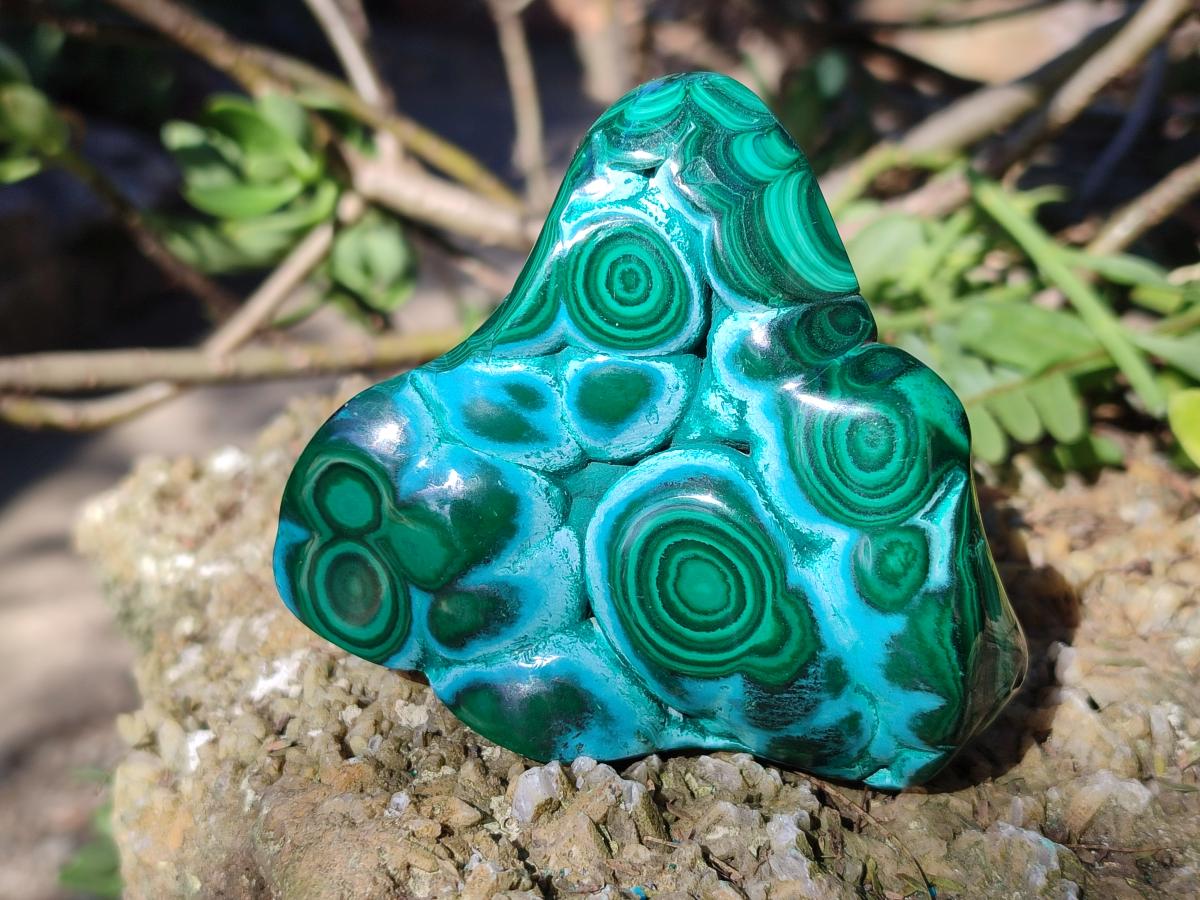 Polished and Natural Malacolla Free Forms x 3 From Kulukuluku, Congo