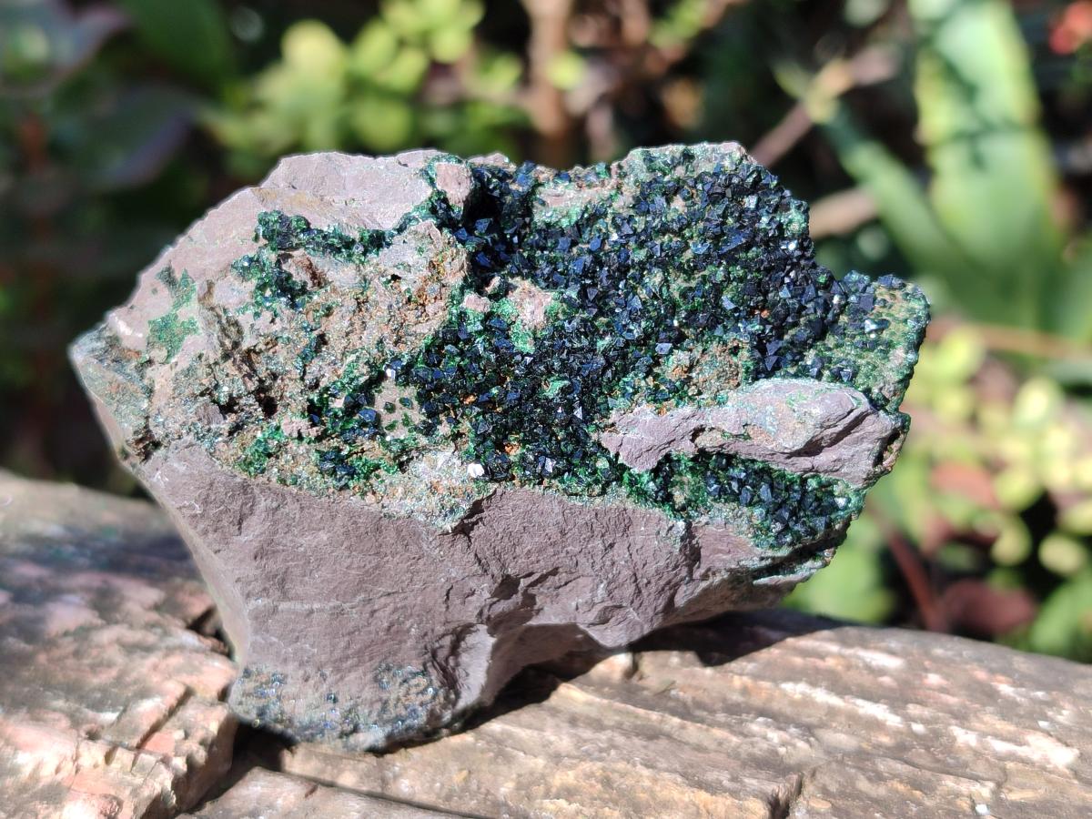 Natural Crystalline Libethenite Specimens on Dolomite Matrix x 6 From Shituru, Congo