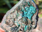 Natural Crystalline Libethenite Specimens on Dolomite Matrix x 6 From Shituru, Congo