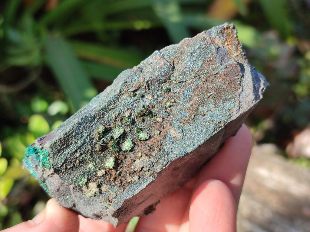 Natural Crystalline Libethenite Specimens on Dolomite Matrix x 6 From Shituru, Congo
