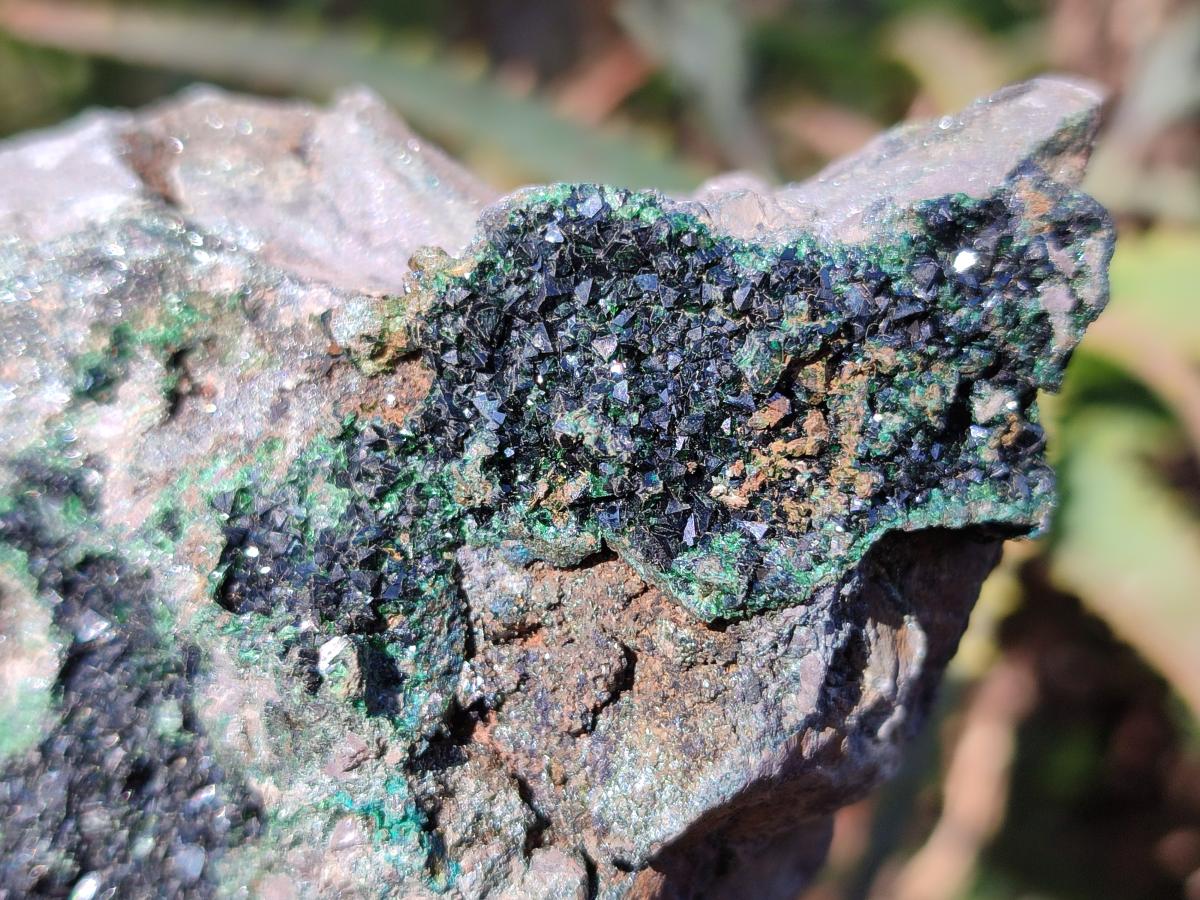 Natural Crystalline Libethenite Specimens on Dolomite Matrix x 6 From Shituru, Congo