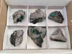Natural Crystalline Libethenite Specimens on Dolomite Matrix x 6 From Shituru, Congo