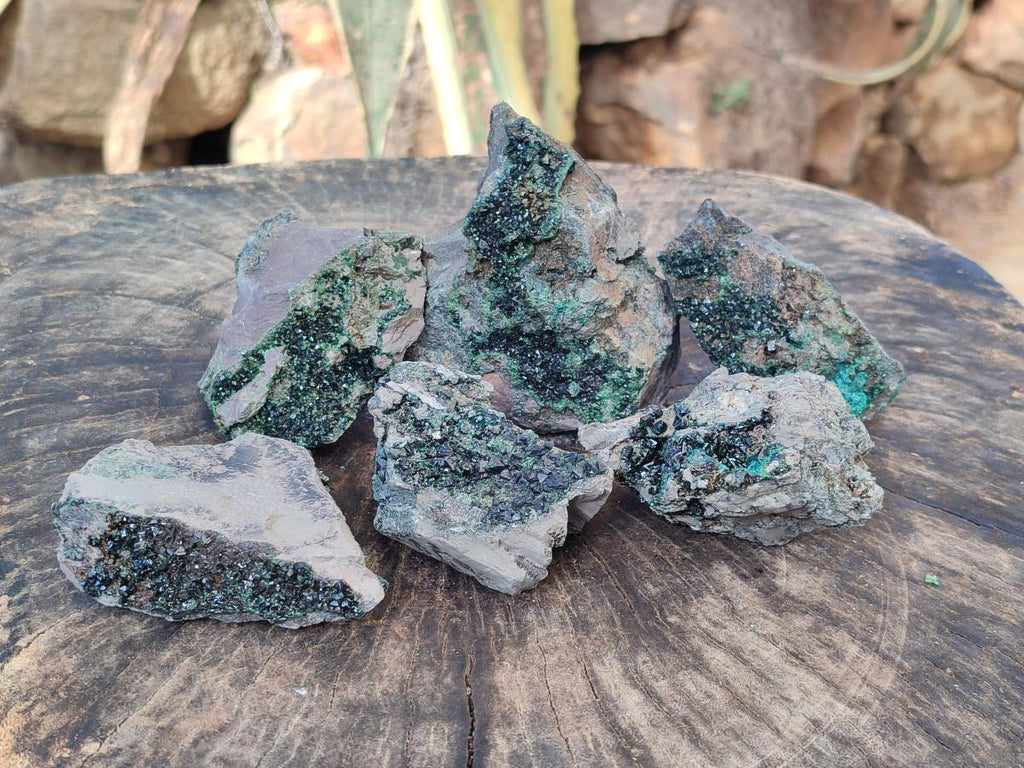 Natural Crystalline Libethenite Specimens on Dolomite Matrix x 6 From Shituru, Congo
