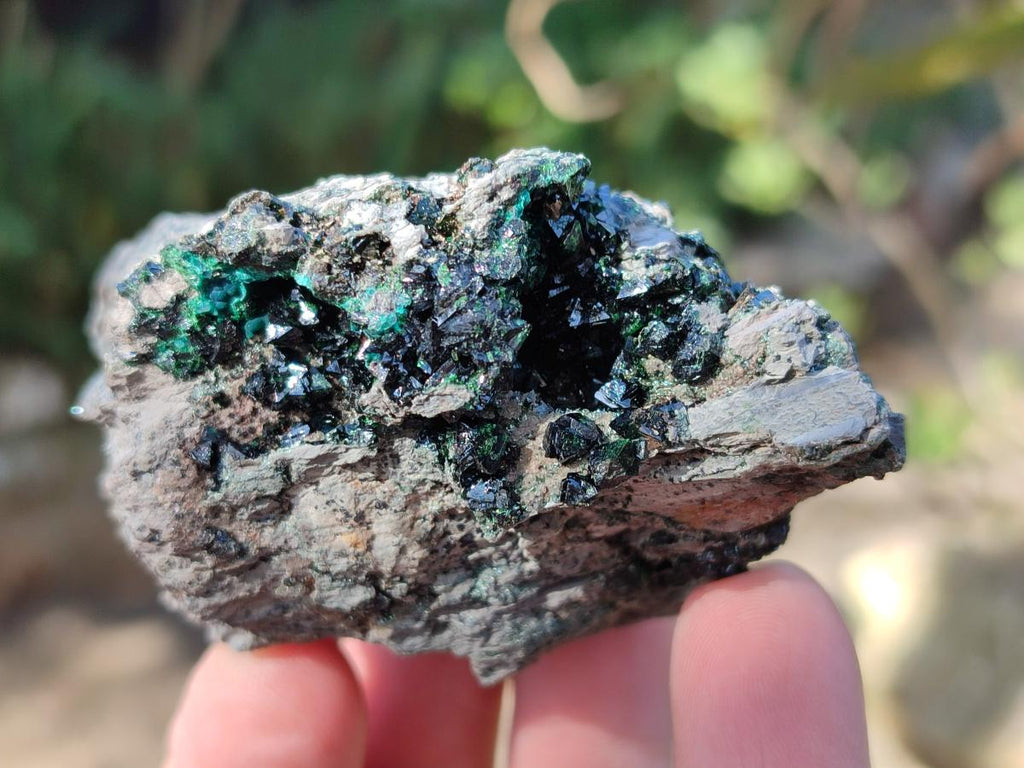 Natural Crystalline Libethenite Specimens on Dolomite Matrix x 6 From Shituru, Congo