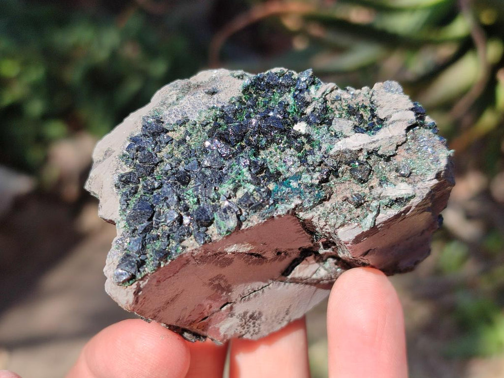 Natural Crystalline Libethenite Specimens on Dolomite Matrix x 6 From Shituru, Congo