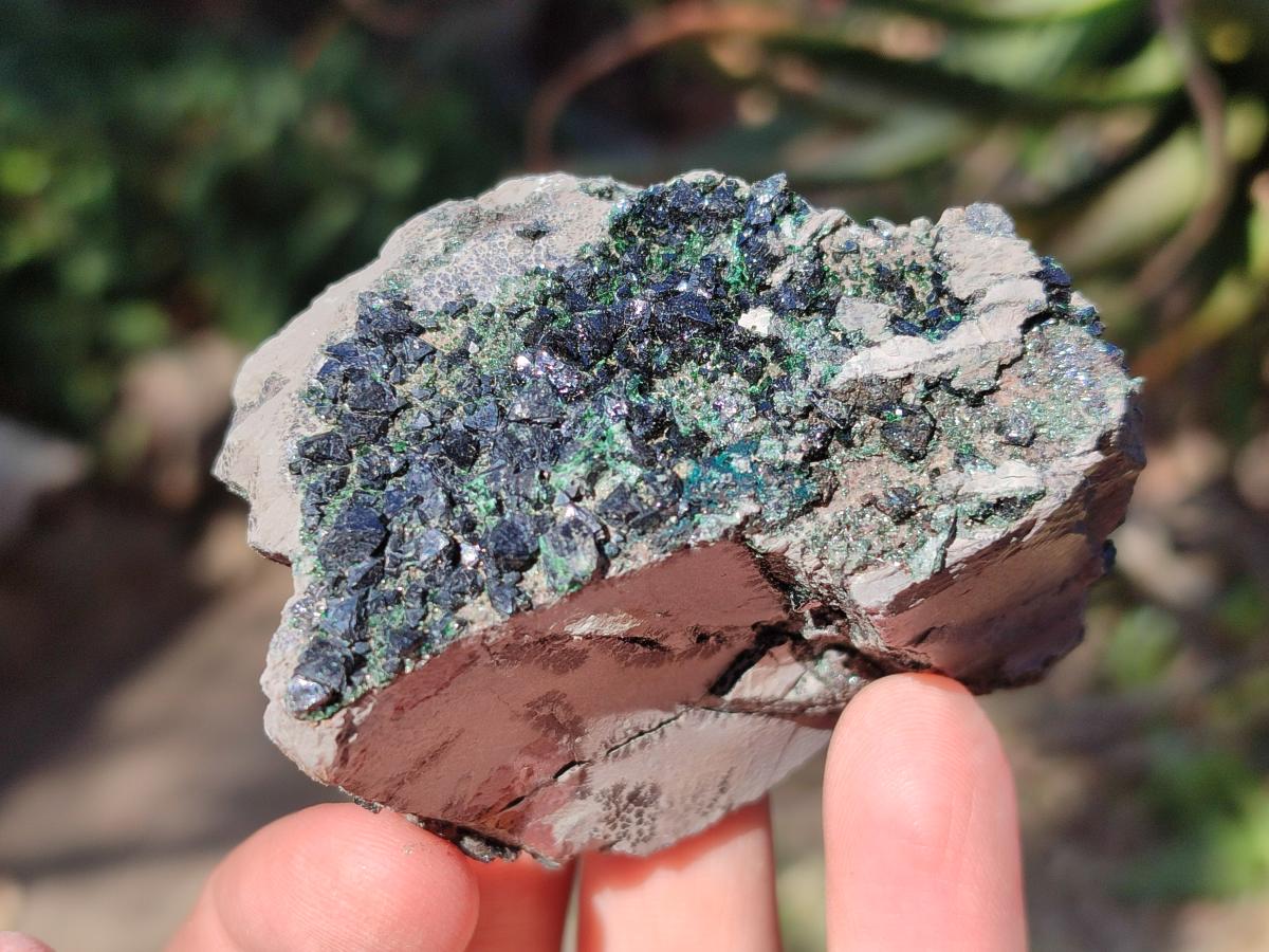 Natural Crystalline Libethenite Specimens on Dolomite Matrix x 6 From Shituru, Congo