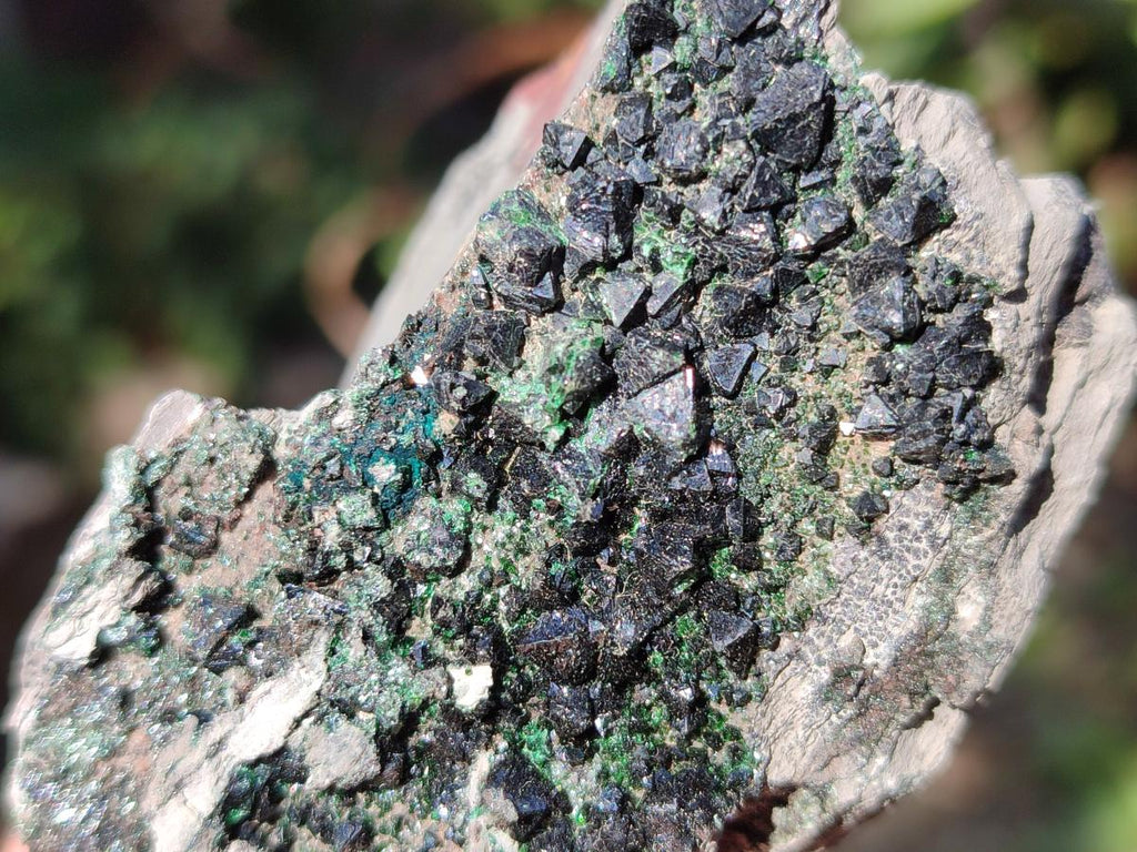 Natural Crystalline Libethenite Specimens on Dolomite Matrix x 6 From Shituru, Congo