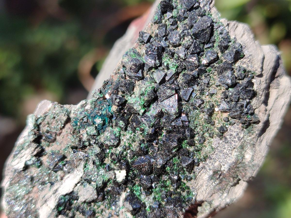 Natural Crystalline Libethenite Specimens on Dolomite Matrix x 6 From Shituru, Congo