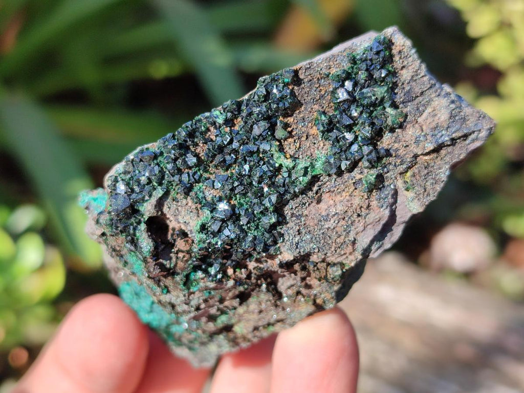 Natural Crystalline Libethenite Specimens on Dolomite Matrix x 6 From Shituru, Congo