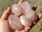 Polished Gemmy Rose Quartz Palm Stones x 20 From Madagascar