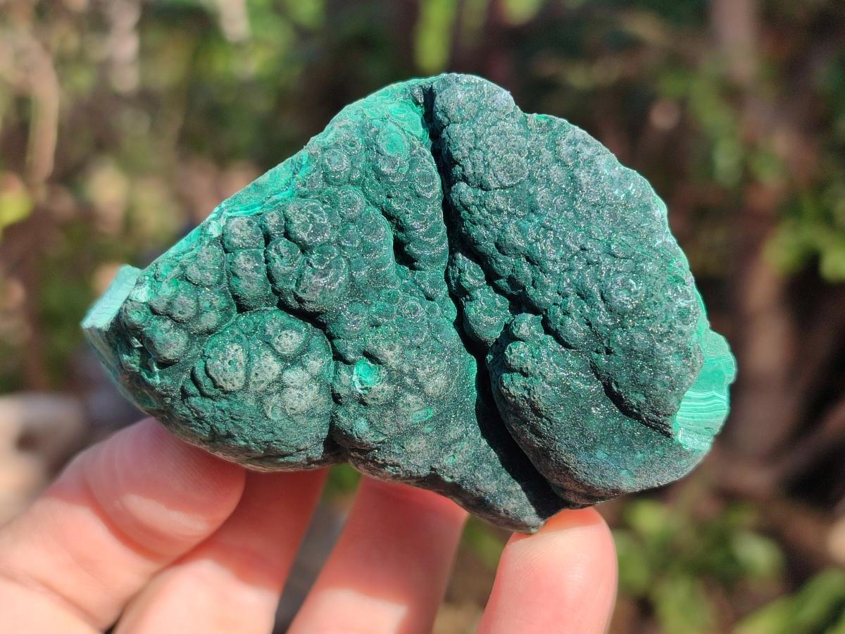 Natural Botryoidal Malachite Specimens x 6 From Congo