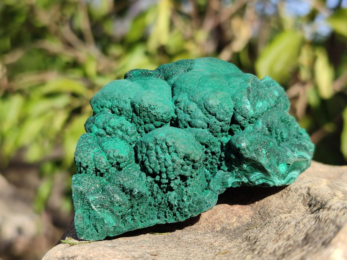 Natural Botryoidal Malachite Specimens x 6 From Congo