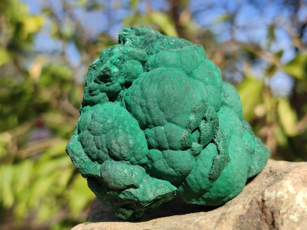 Natural Botryoidal Malachite Specimens x 6 From Congo