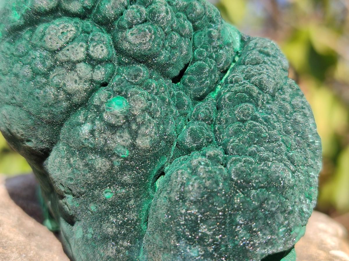 Natural Botryoidal Malachite Specimens x 6 From Congo