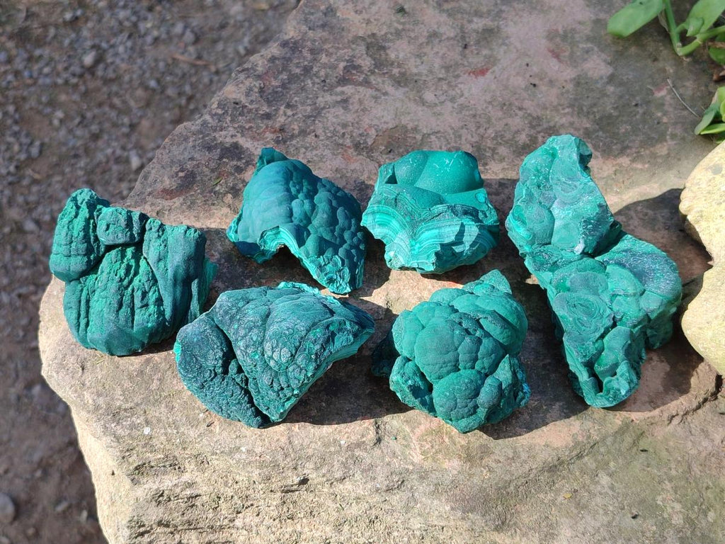 Natural Botryoidal Malachite Specimens x 6 From Congo