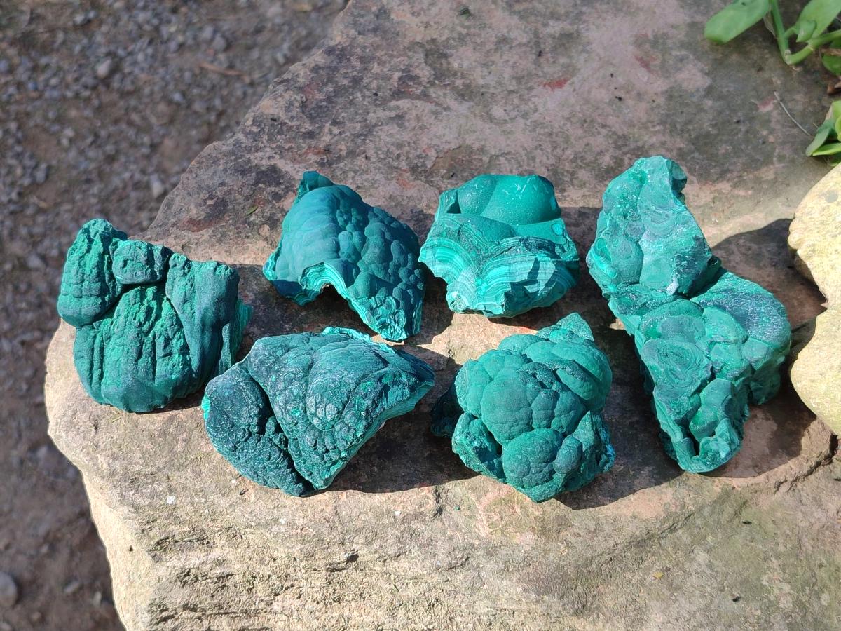 Natural Botryoidal Malachite Specimens x 6 From Congo