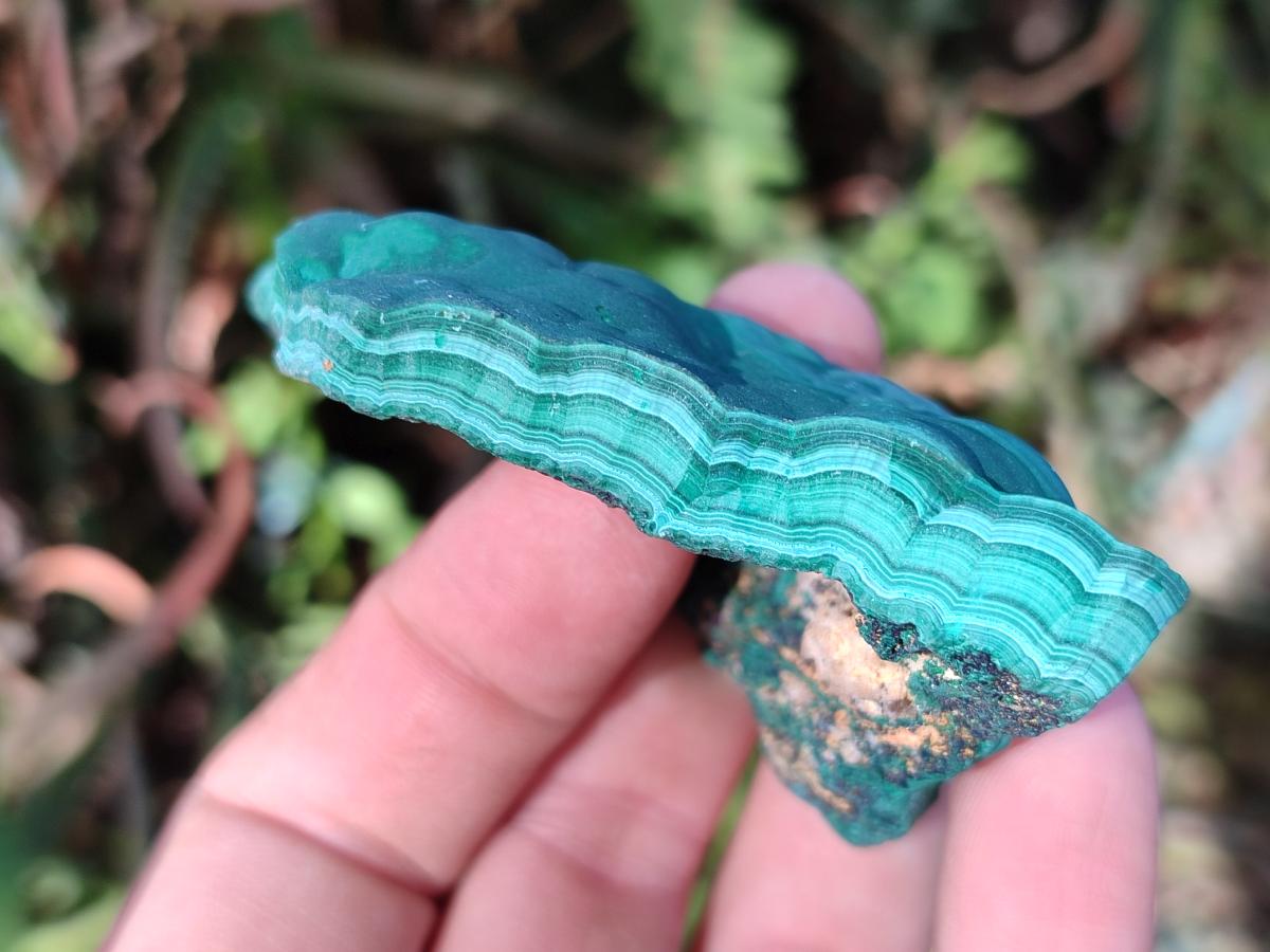 Natural Botryoidal Malachite Specimens x 6 From Congo