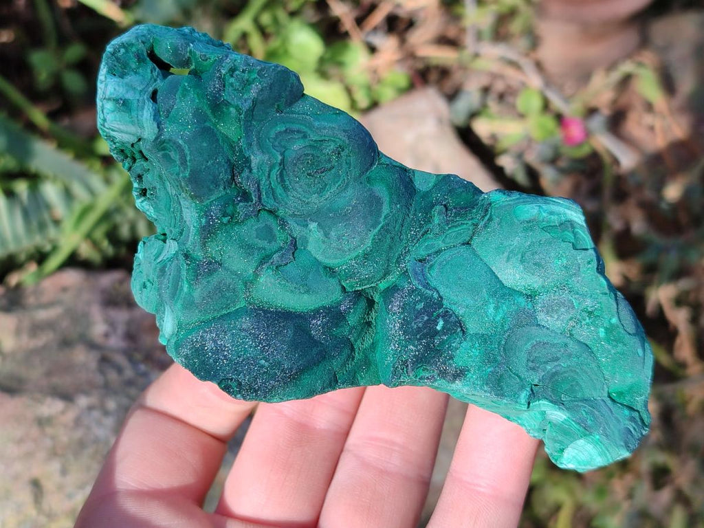 Natural Botryoidal Malachite Specimens x 6 From Congo