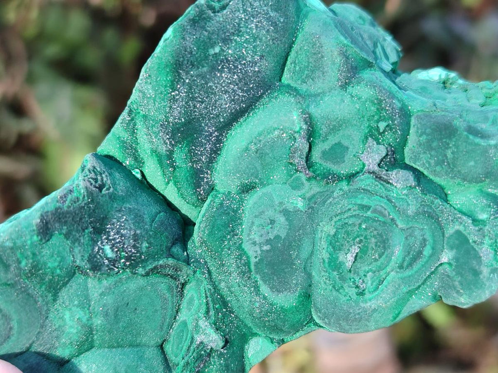 Natural Botryoidal Malachite Specimens x 6 From Congo
