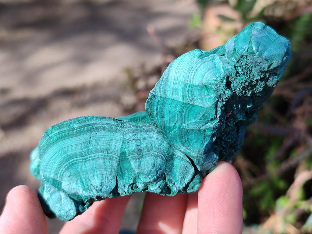 Natural Botryoidal Malachite Specimens x 6 From Congo