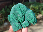 Natural Botryoidal Malachite Specimens x 6 From Congo