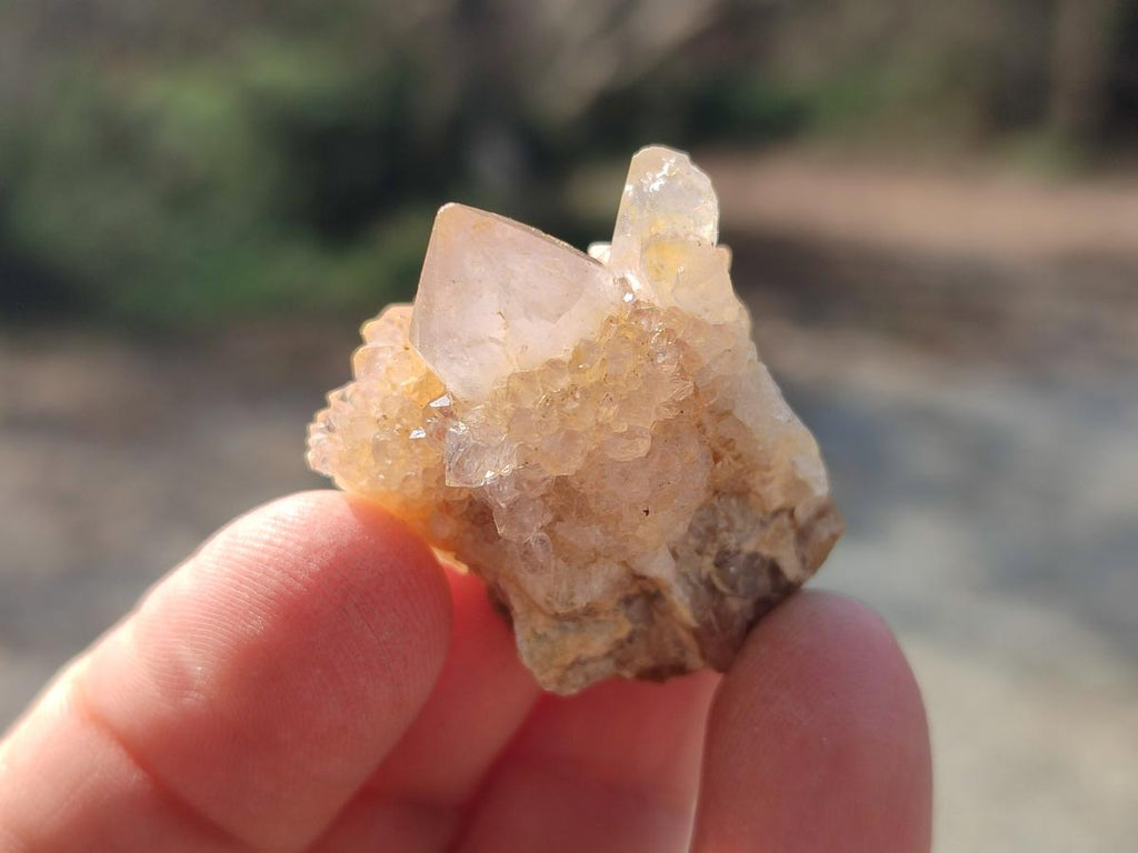 Natural Mix of Small Spirit Quartz Crystals and Clusters x 70 From Boekenhouthoek, South Africa