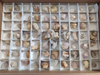 Natural Mix of Small Spirit Quartz Crystals and Clusters x 70 From Boekenhouthoek, South Africa