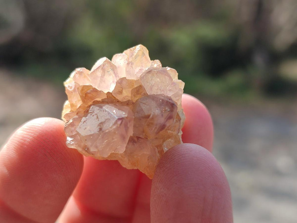 Natural Mix of Small Spirit Quartz Crystals and Clusters x 70 From Boekenhouthoek, South Africa