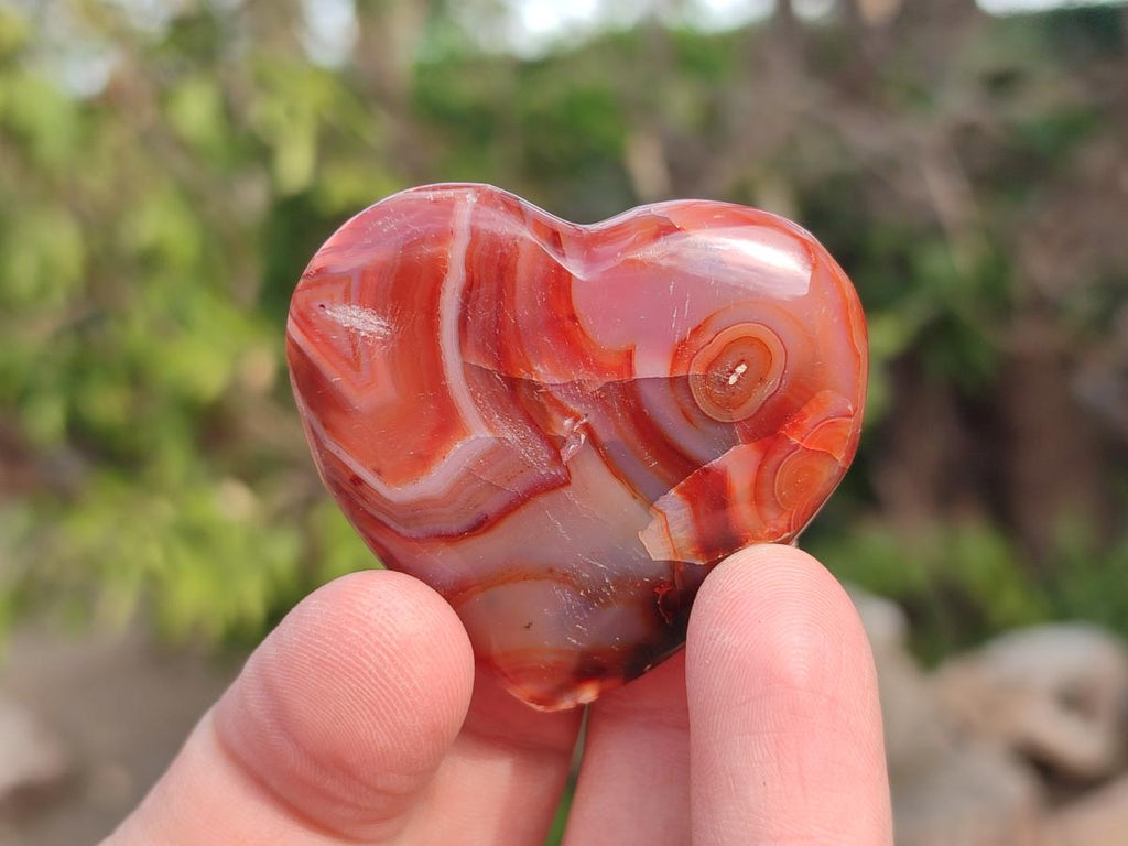 Polished Carnelian Agate Gemstone Hearts x 24 From Madagascar