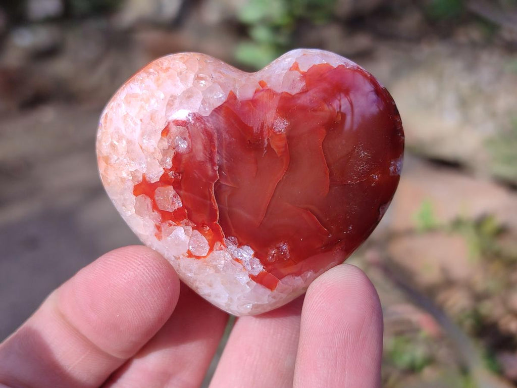 Polished Carnelian Agate Gemstone Hearts x 24 From Madagascar