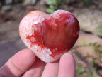 Polished Carnelian Agate Gemstone Hearts x 24 From Madagascar