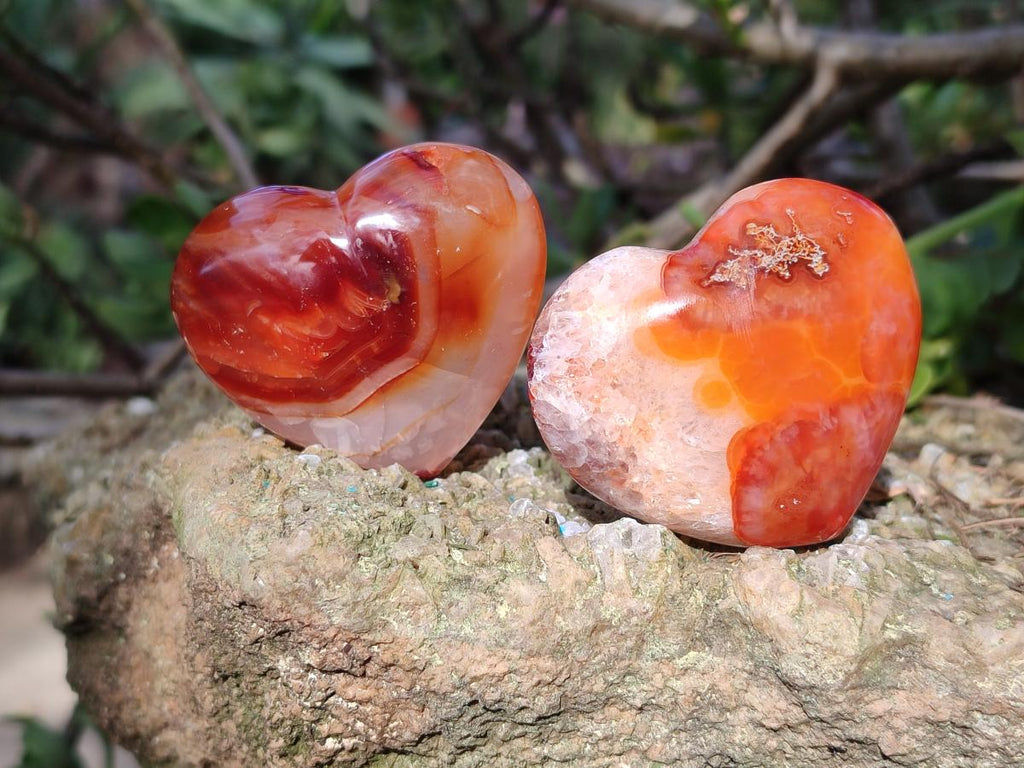 Polished Carnelian Agate Gemstone Hearts x 24 From Madagascar