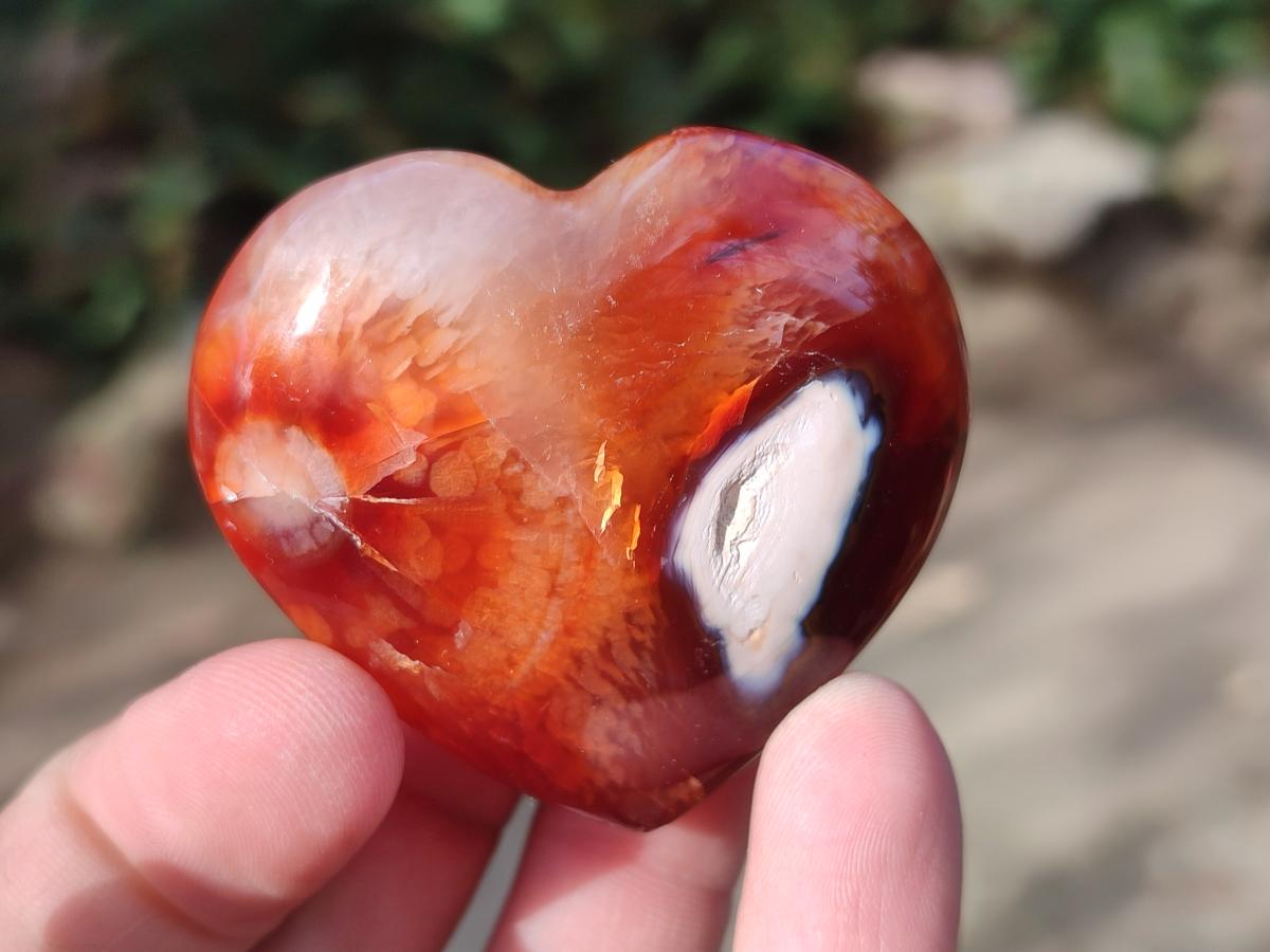 Polished Carnelian Agate Gemstone Hearts x 24 From Madagascar