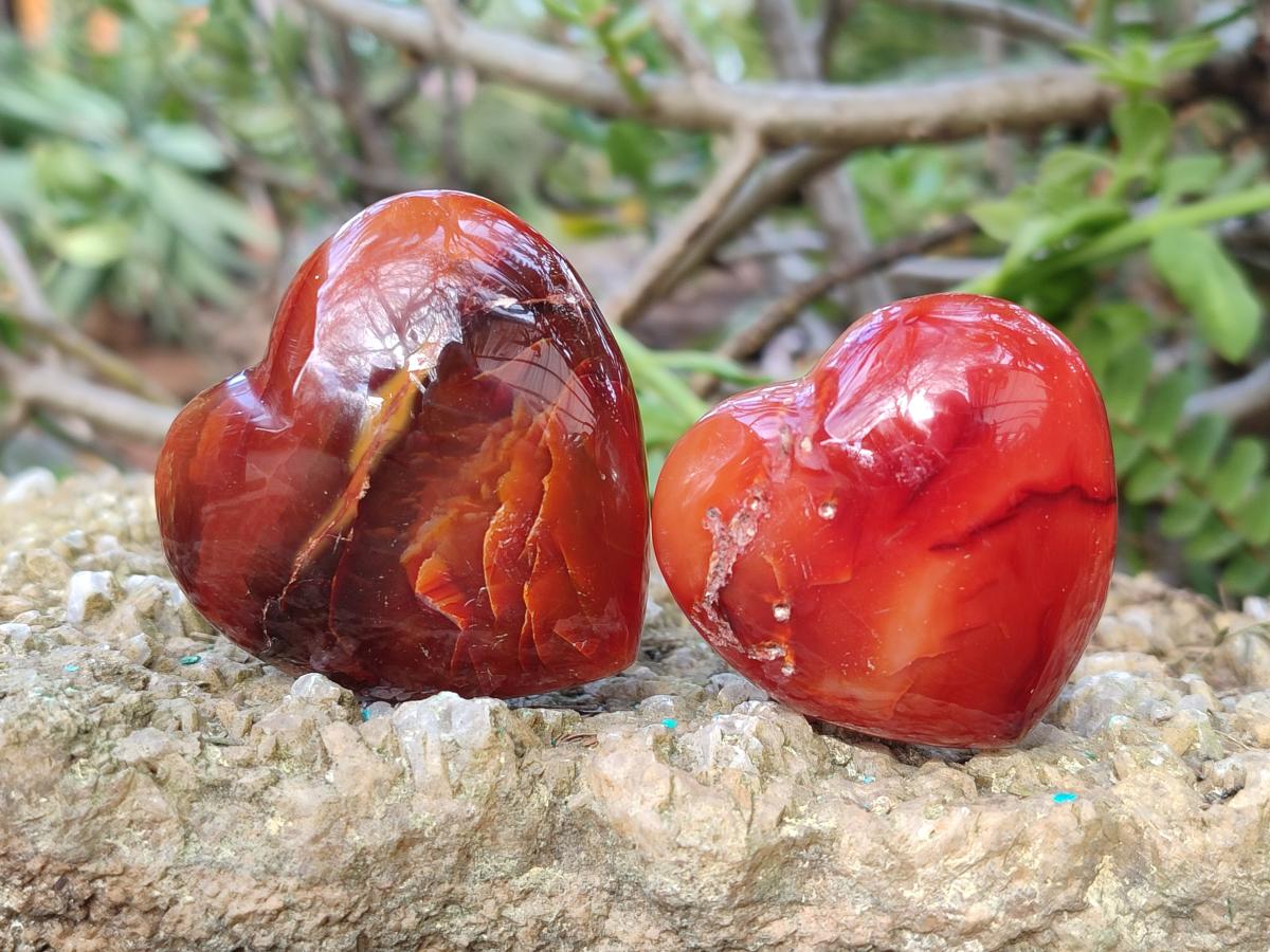 Polished Carnelian Agate Gemstone Hearts x 24 From Madagascar