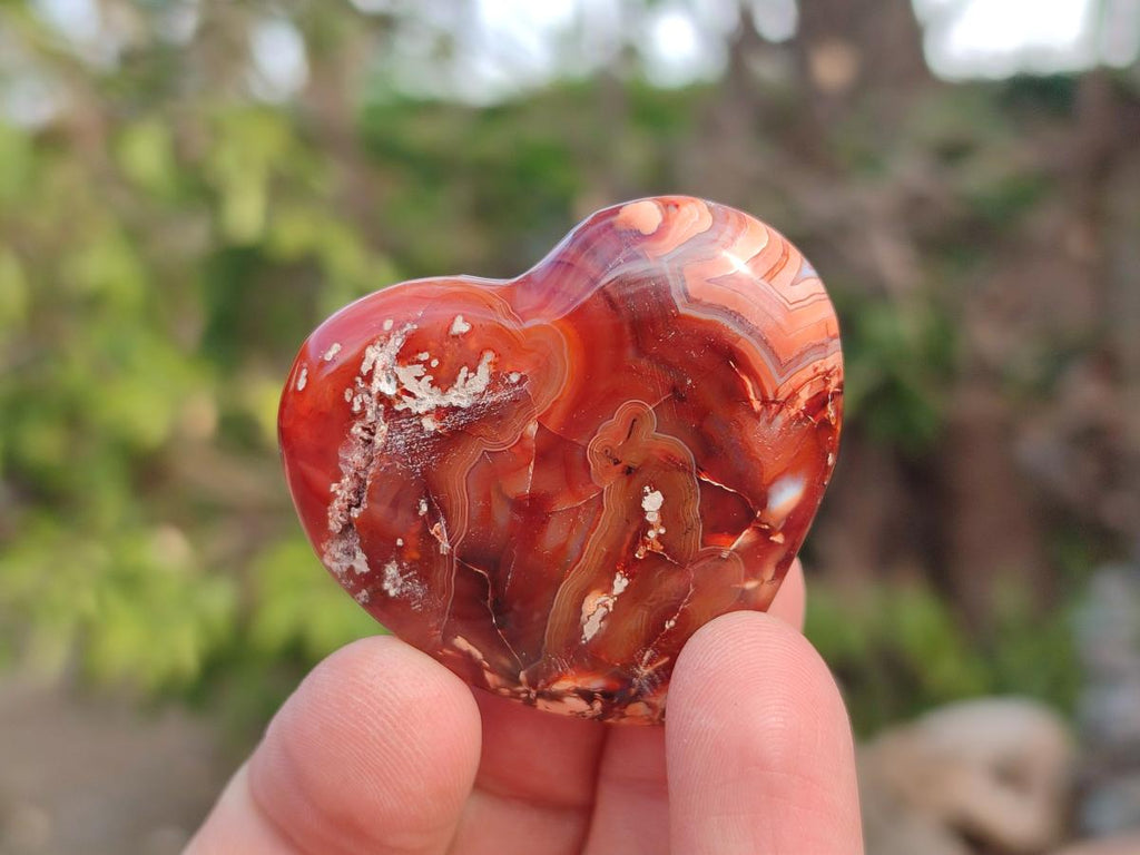 Polished Carnelian Agate Gemstone Hearts x 24 From Madagascar
