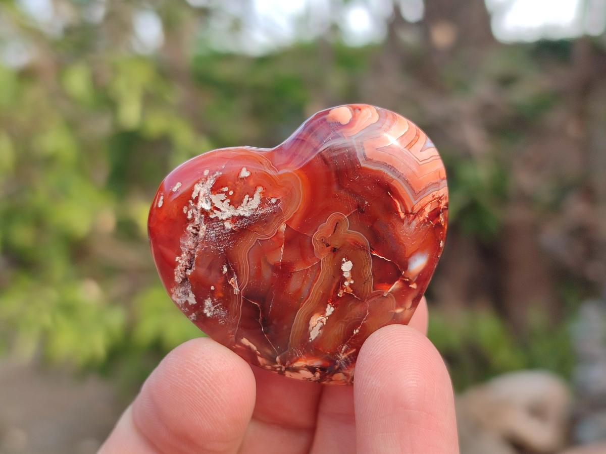 Polished Carnelian Agate Gemstone Hearts x 24 From Madagascar