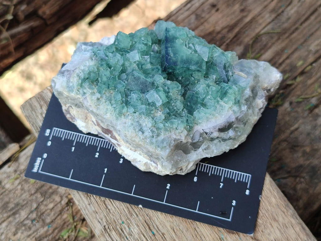 Natural Green Cubic Fluorite Specimens x 12 From Mandrosonoro, Madagascar