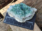 Natural Green Cubic Fluorite Specimens x 12 From Mandrosonoro, Madagascar