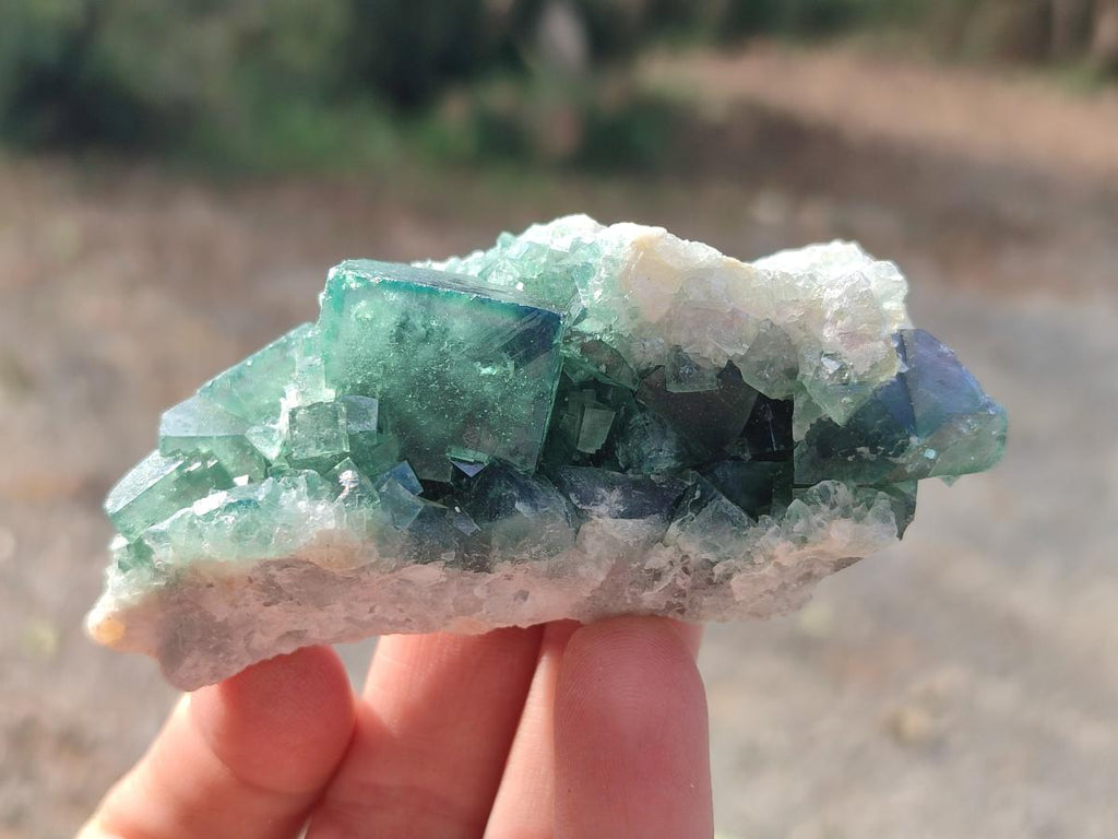 Natural Green Cubic Fluorite Specimens x 12 From Mandrosonoro, Madagascar