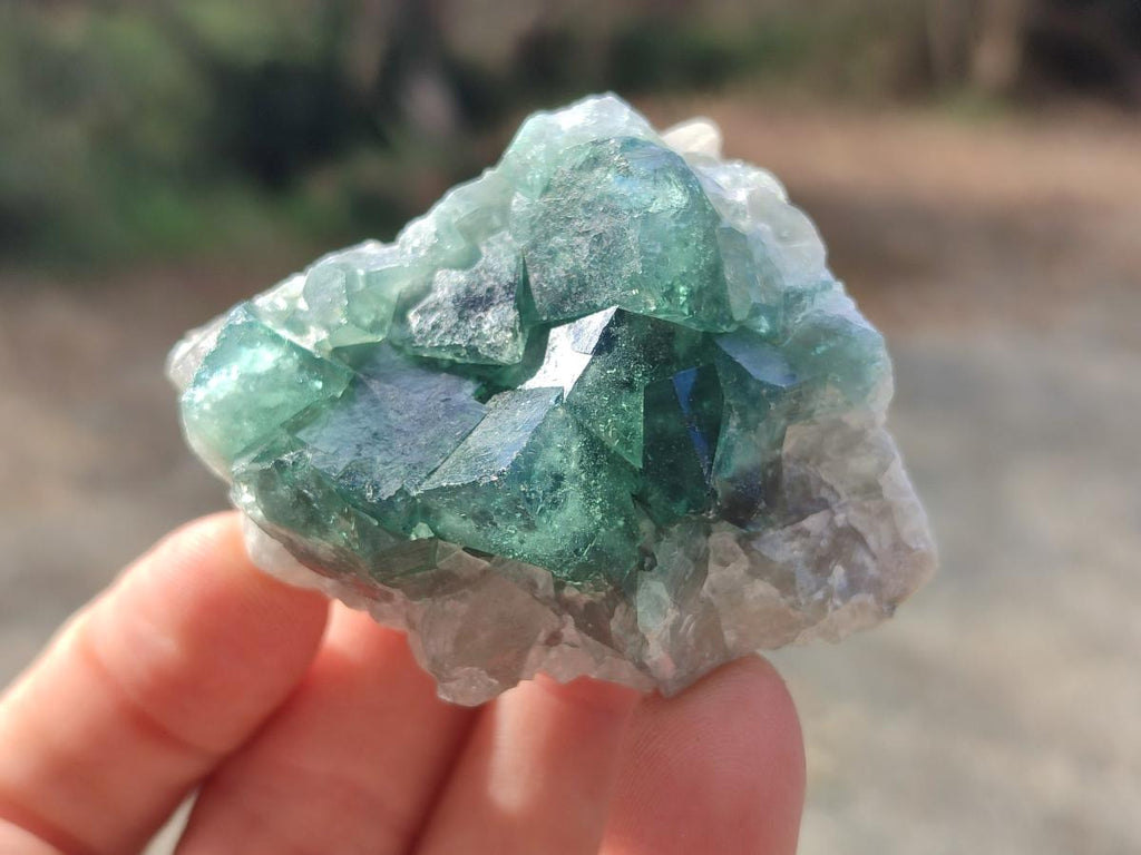 Natural Green Cubic Fluorite Specimens x 12 From Mandrosonoro, Madagascar