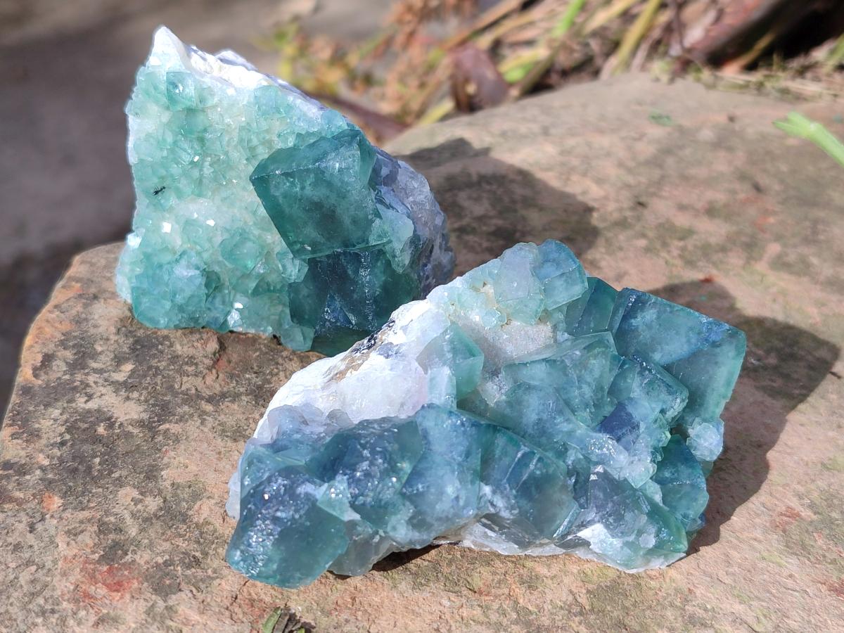 Natural Green Cubic Fluorite Specimens x 12 From Mandrosonoro, Madagascar